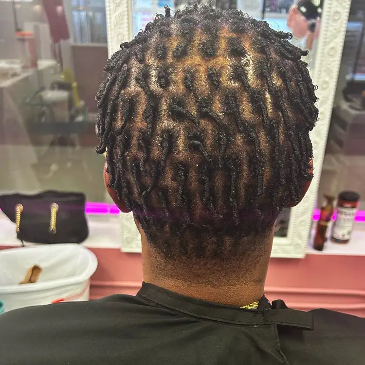 Images Salon Suites - loc styles & services, starter locs - Fairview Heights, IL